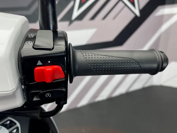 QJMOTOR LTR 125 - Thumbnail 8